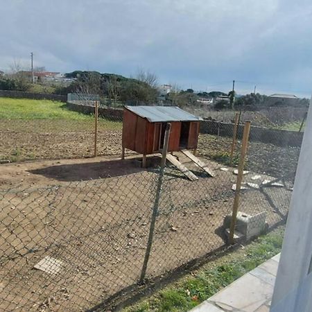 Casa 37 - Country Home Terrugem ภายนอก รูปภาพ
